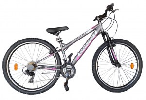 ΠΟΔΗΛΑΤΟ Energy Galaxy 27,5" Γυναικείο - Ασημί DRIMALASBIKES